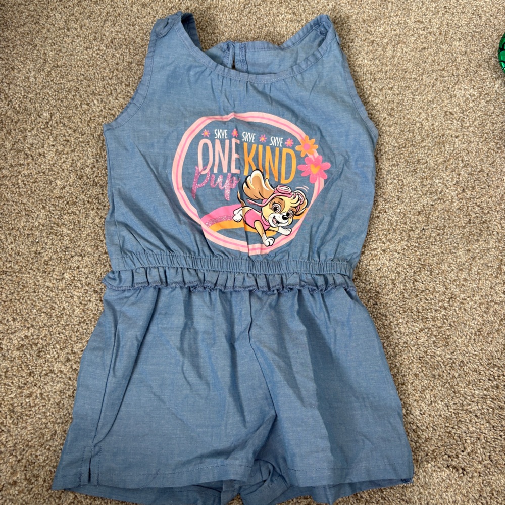 Paw Patrol 2T Romper Blue Pink Skye